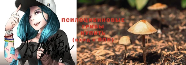тгк Надым