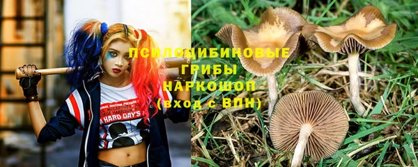 spice Нефтегорск
