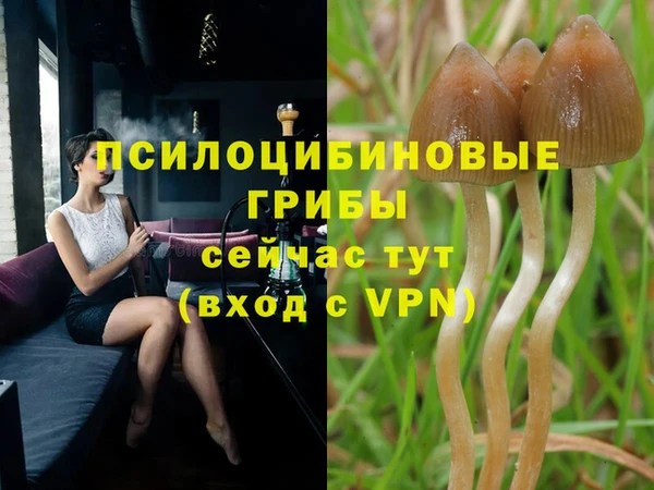МДПВ Новокубанск